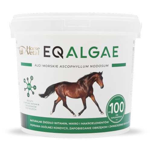 EQALGAE 4 kg algi morskie dla koni